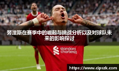 努涅斯在赛季中的崛起与挑战分析以及对球队未来的影响探讨